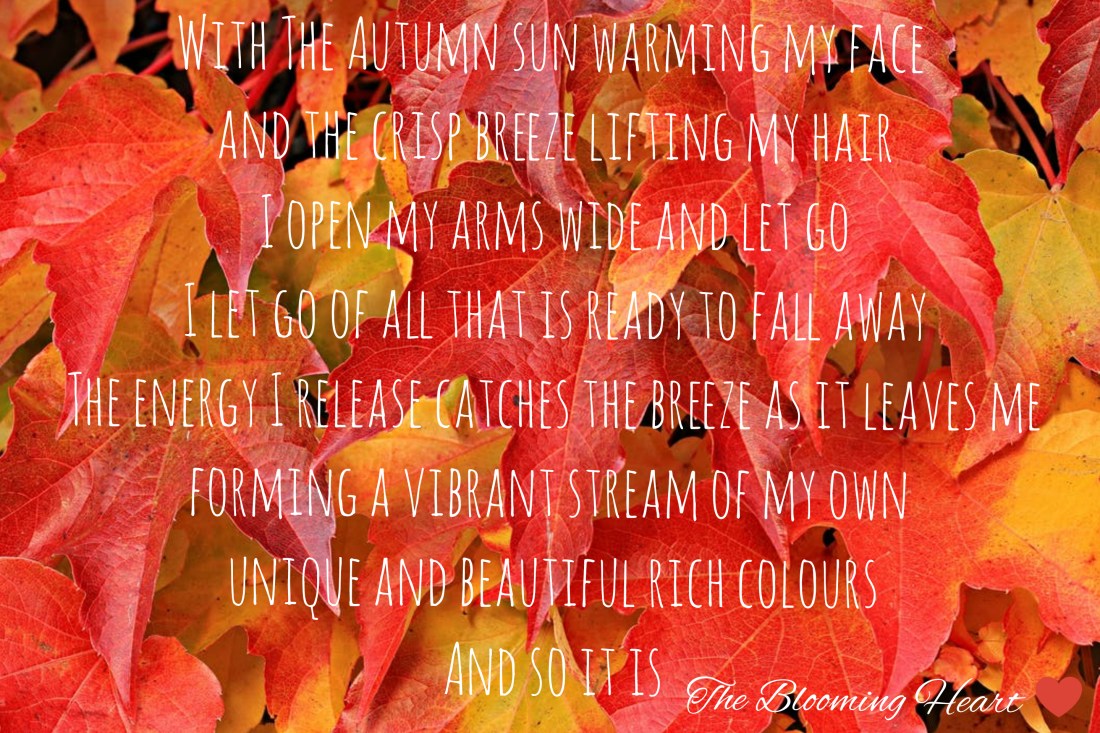 inCollage_20181014_003912414