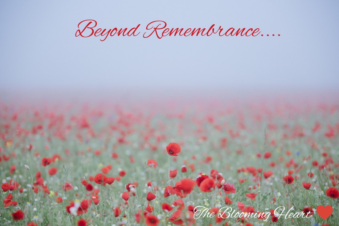 inCollage_20181111_174418992