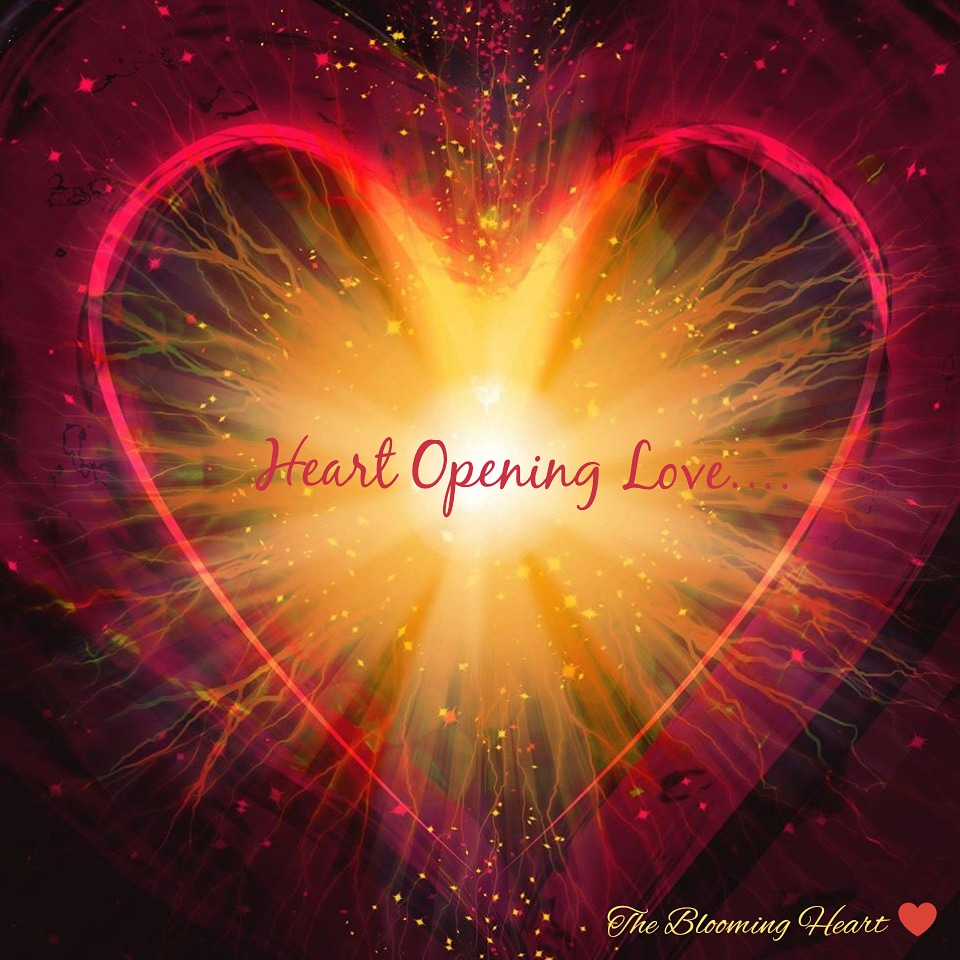 IMG_20190623_182047_166