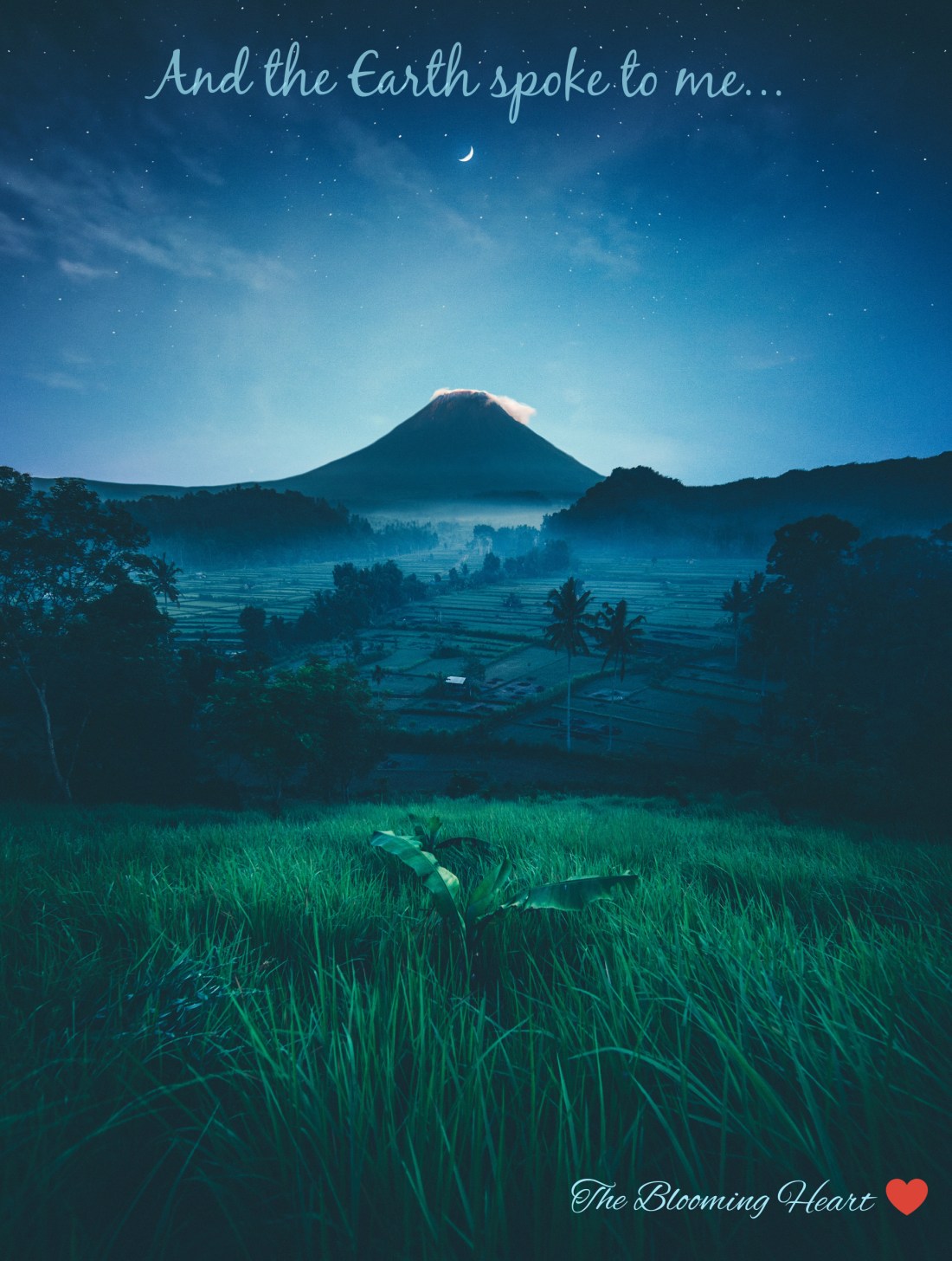 inCollage_20190623_205249127