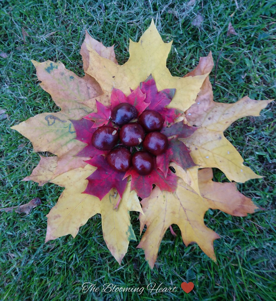 IMG_20191005_210845_960