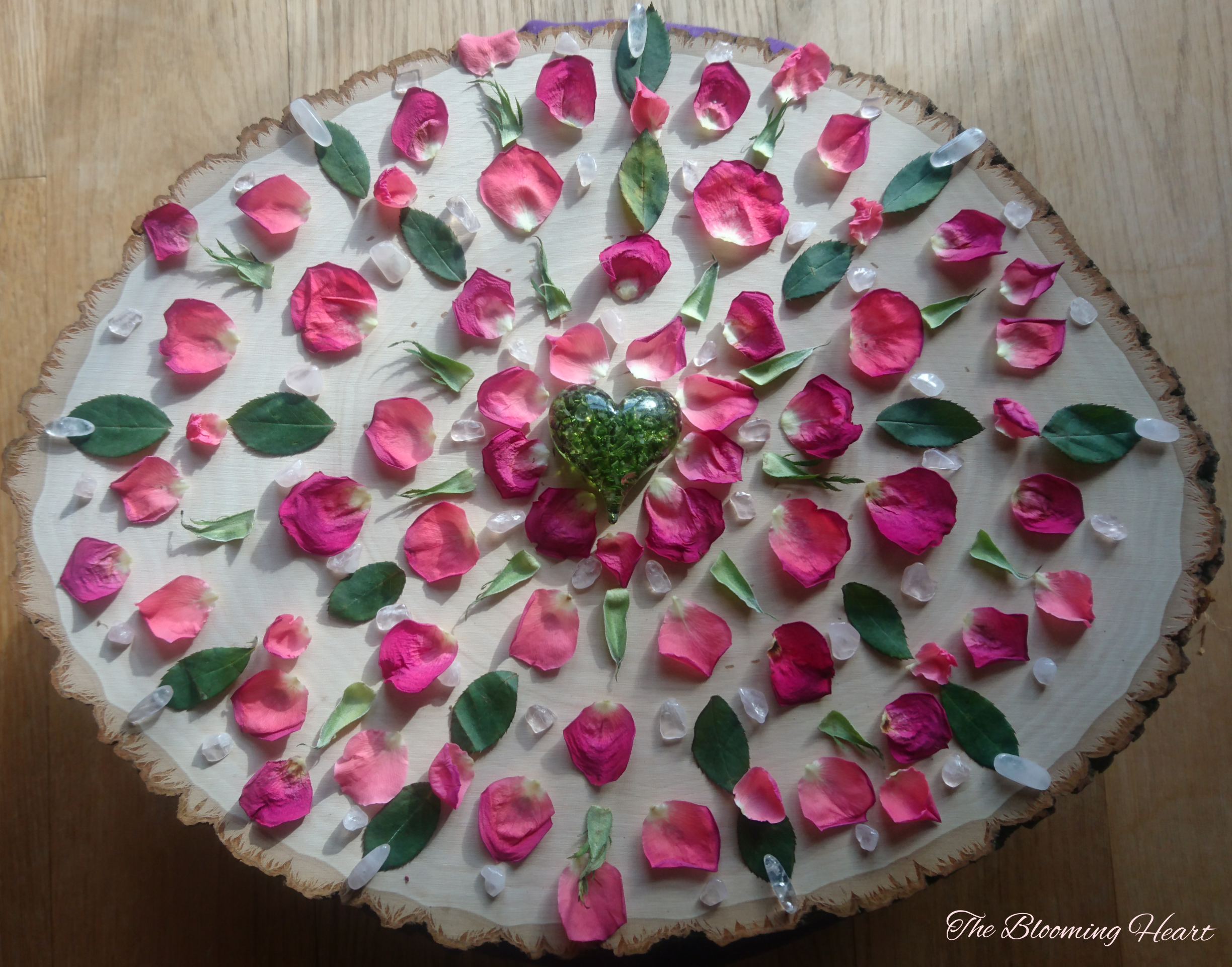 inCollage_20200329_171305430